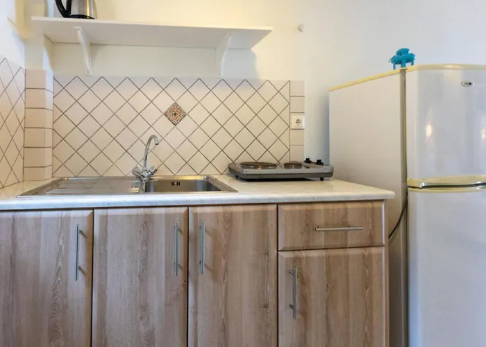 Pansion L'antic 3* Koróni