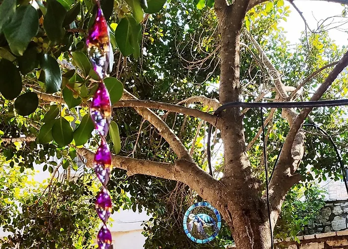 Vendégház Pansion L'antic Koróni